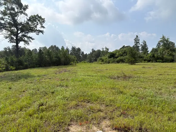 TBD Dexter Centerville Rd, Tylertown, MS 39667