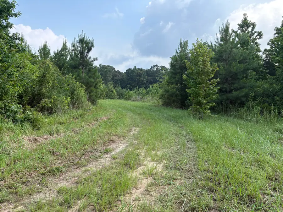 TBD Dexter Centerville Rd, Tylertown, MS 39667 - #3