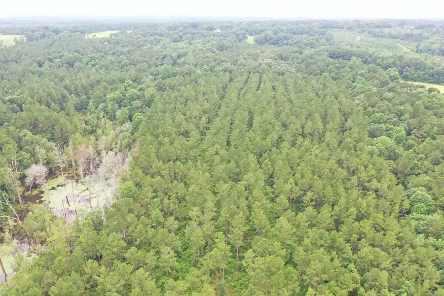 63 Dogwood Hills Dr., Laurel, MS 39443 - #2