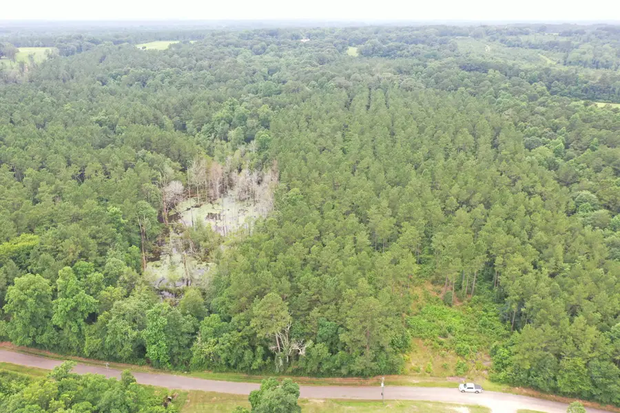63 Dogwood Hills Dr., Laurel, MS 39443 - #3