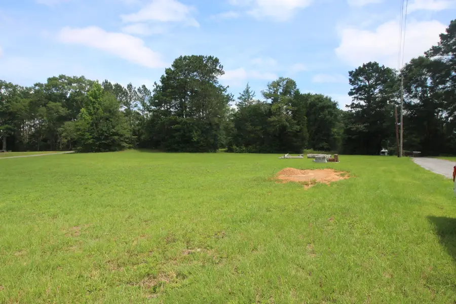 5 George Holloway, Laurel, MS 39443 - #3