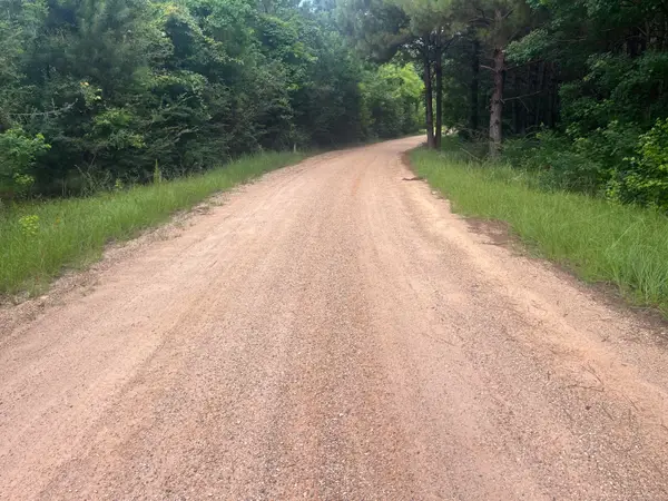 10 Mol Ac Betty Sanderson Rd., Waynesboro, MS 39367