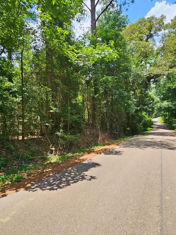 0 Jack Hall Rd., Mount Olive, MS 39119