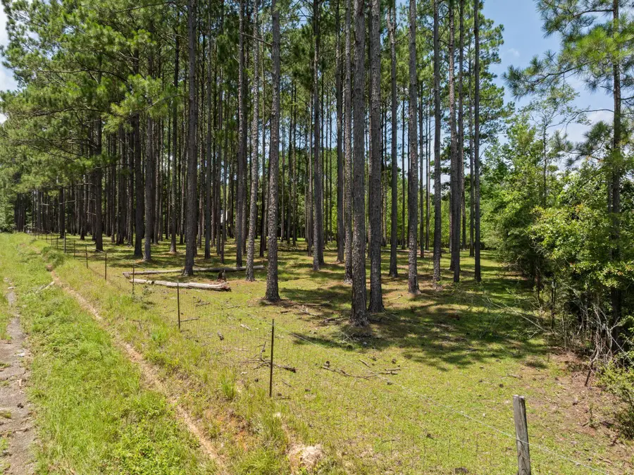 641 Lookout Tower, Purvis, MS 39475 - #2