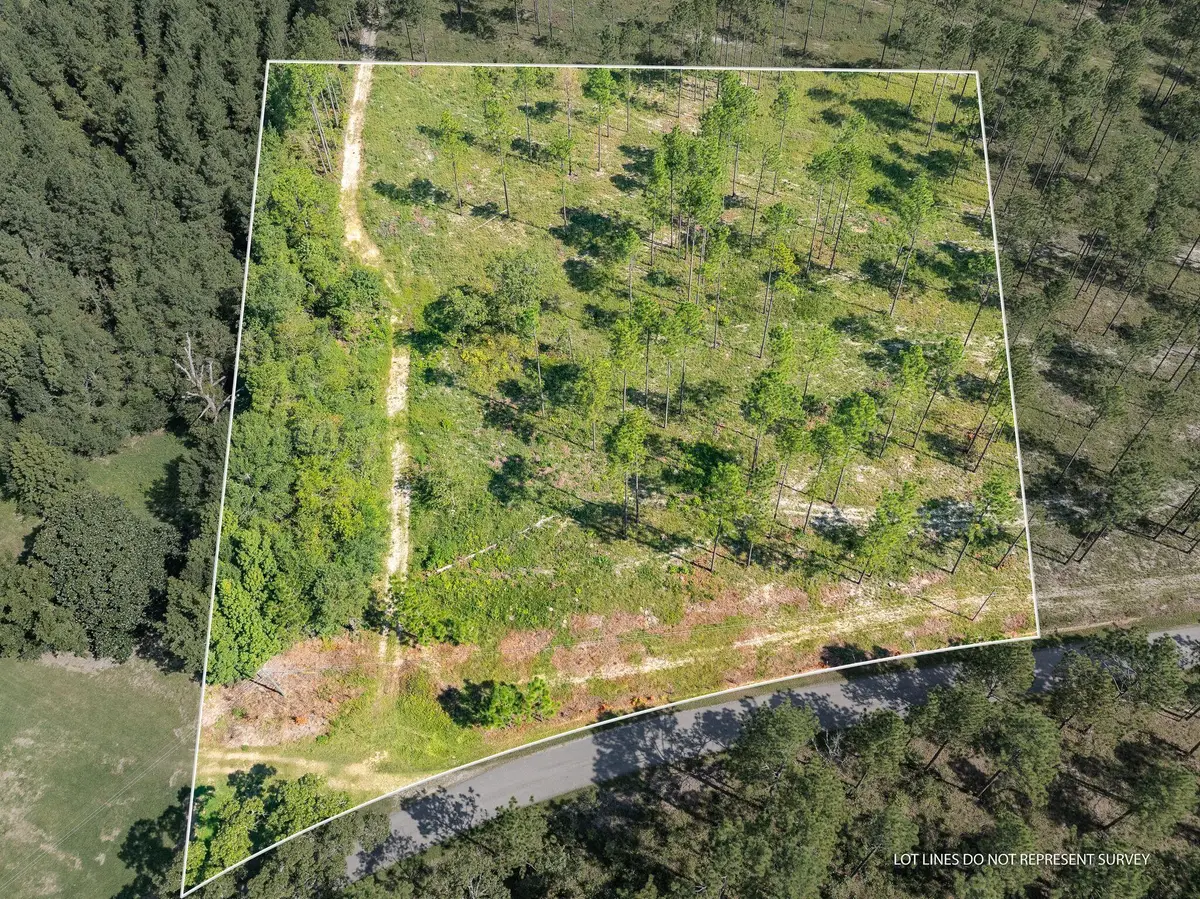 3 Ac #3 Crown Zellerback Rd., Lumberton, MS 39455 - #1