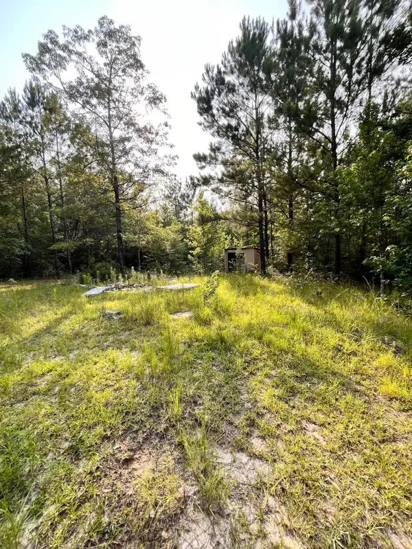 27 Roy, Lumberton, MS 39455