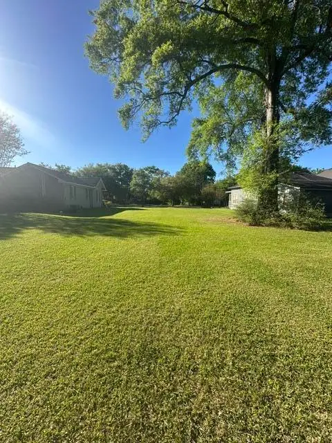 810 W Pine St., Hattiesburg, MS 39401 - #2