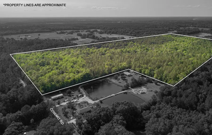 0 Cowart Rd., Lucedale, MS 39452 - #3