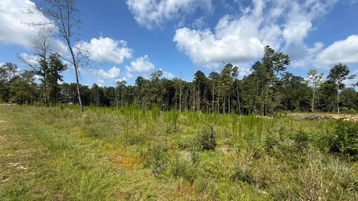 5.46 Ac Smith, Columbia, MS 39429 - #1