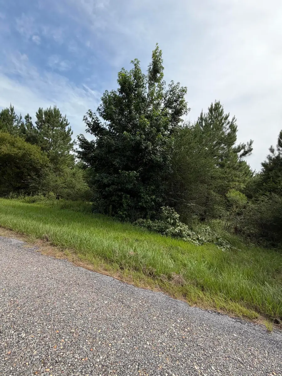 Parcel 2 R Thompson, Lumberton, MS 39455 - #2