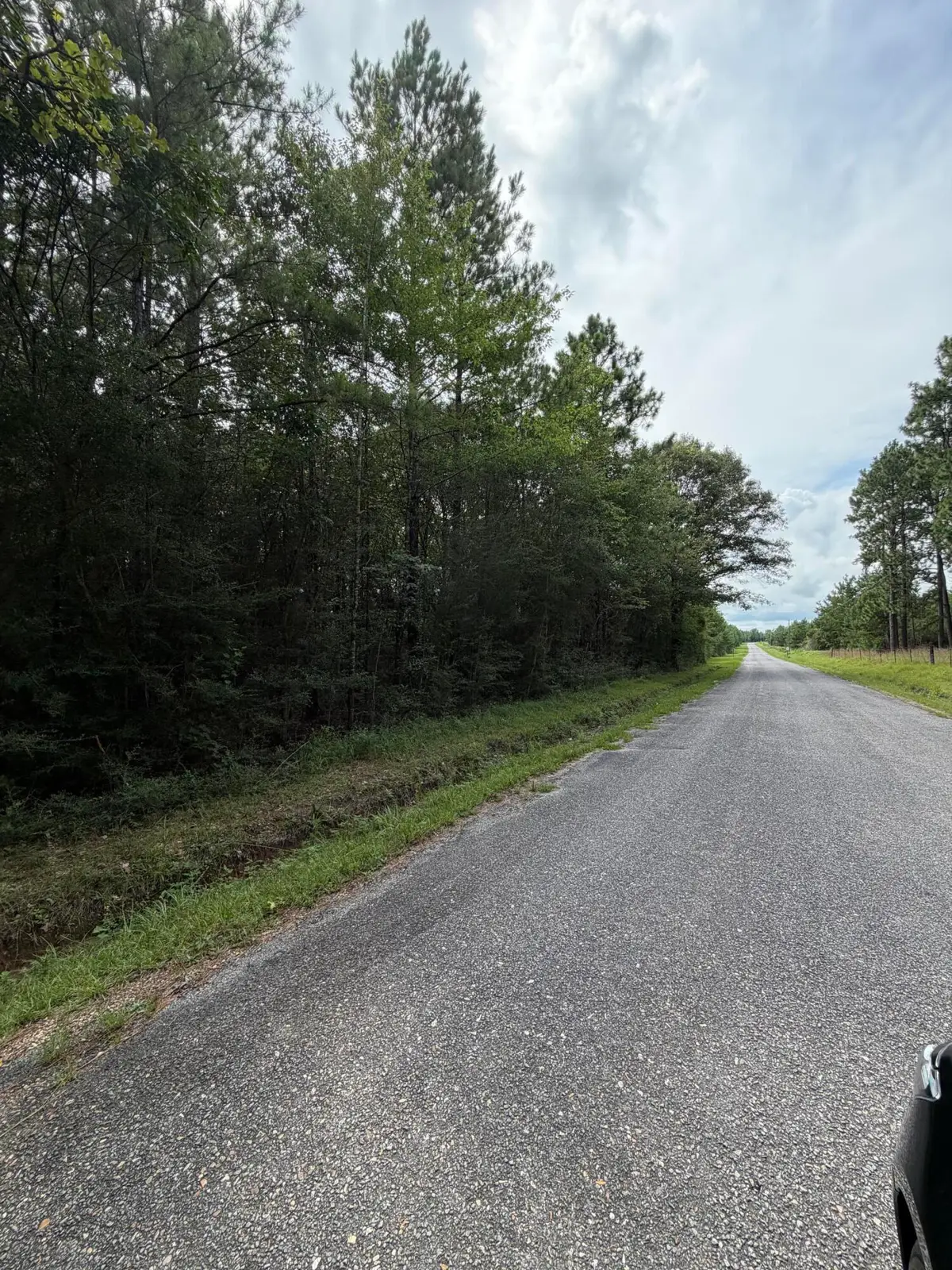 Parcel 4 R Thompson, Lumberton, MS 39455 - #1
