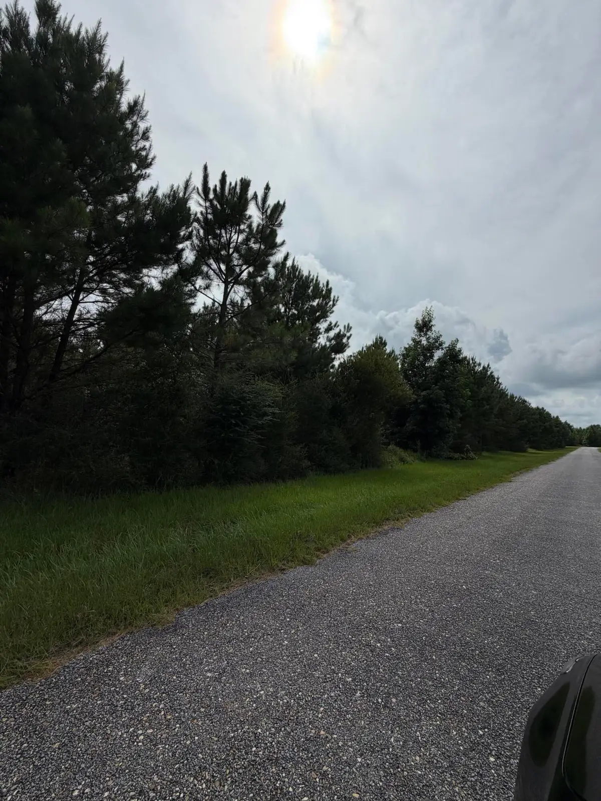 Parcel 5 R Thompson, Lumberton, MS 39455 - #1