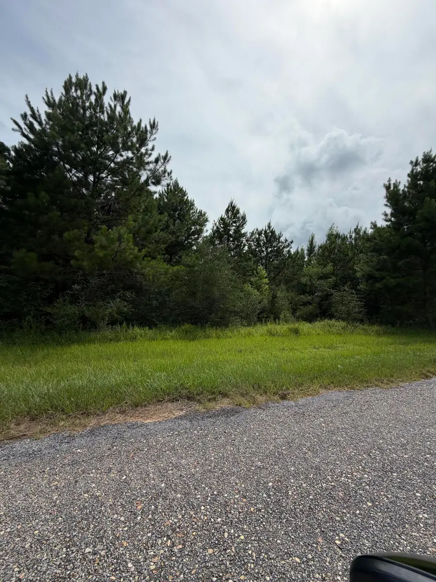 Parcel 5 R Thompson, Lumberton, MS 39455 - #3