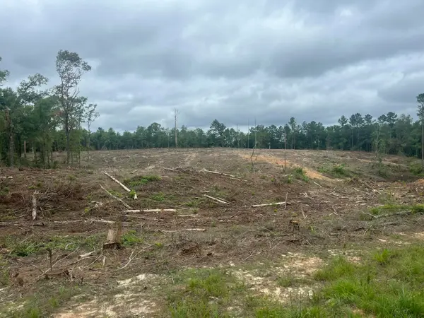 TBD North Ln., Columbia, MS 39429