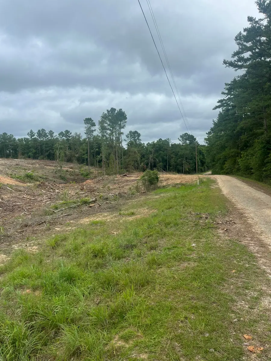 TBD North Ln., Columbia, MS 39429 - #2