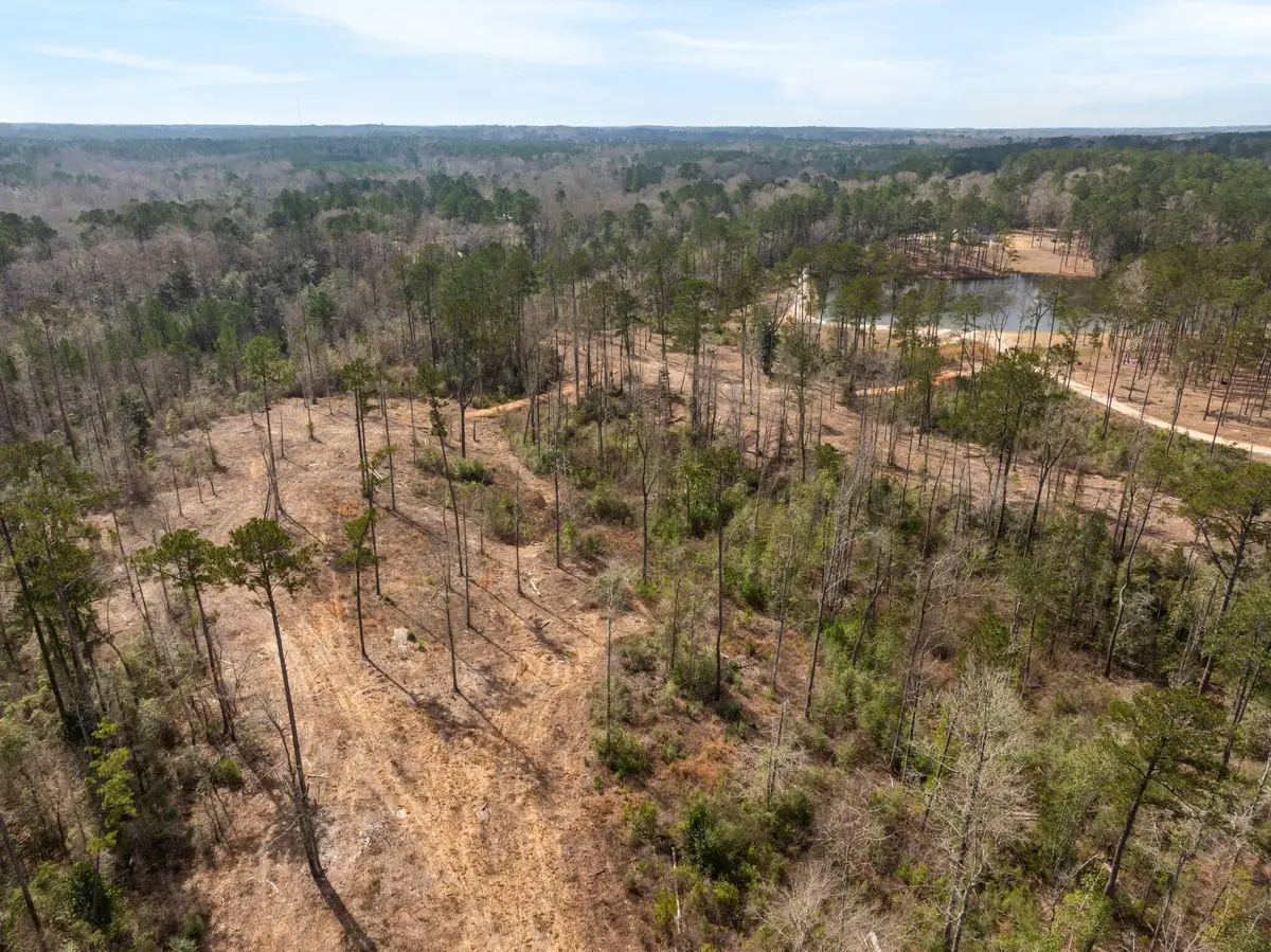 36.08 +/- Acres Placid Dr., Sumrall, MS 39482 - #1