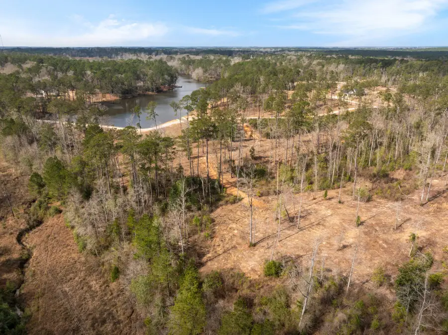 36.08 +/- Acres Placid Dr., Sumrall, MS 39482 - #2