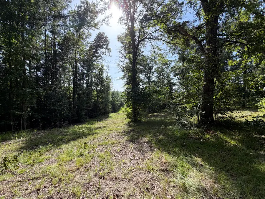 5708 County Road 643, Quitman, MS 39355 - #2