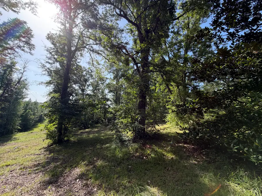 5708 County Road 643, Quitman, MS 39355 - #3