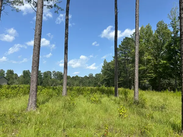 88 Pine Ridge, Columbia, MS 39429