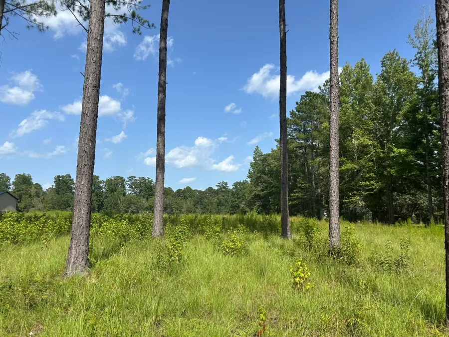 88 Pine Ridge, Columbia, MS 39429 - #2