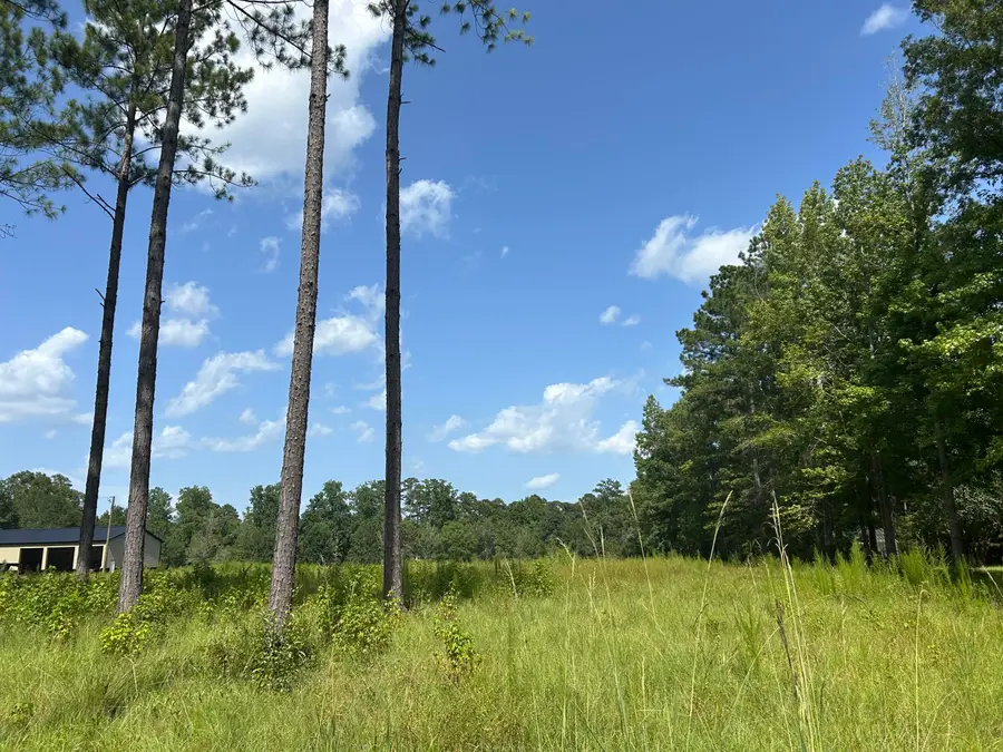 88 Pine Ridge, Columbia, MS 39429 - #3