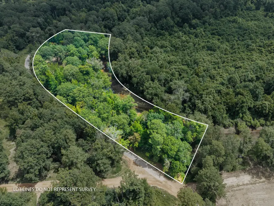 3.2 Acres Bahala Crk Old Hwy 27n, Monticello, MS 39654 - #2