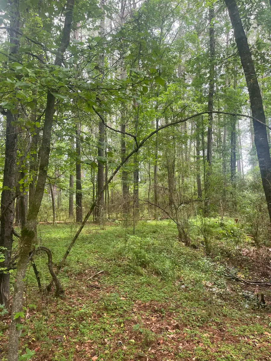 TBD Scr 1, Taylorsville, MS 39168 - #2