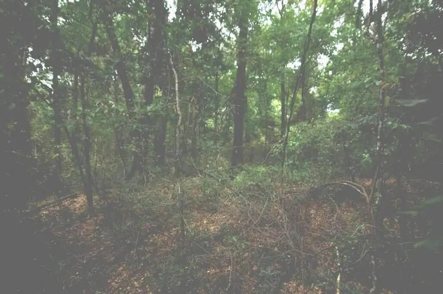 TBD Mccain Rd., Hattiesburg, MS 39483 - #3