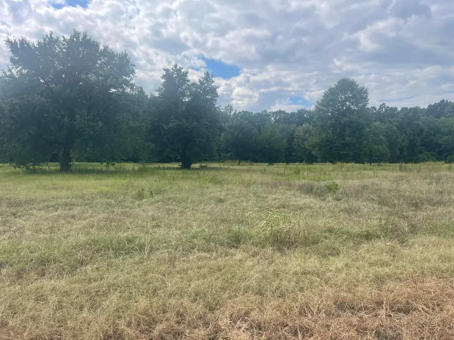 5 ac +- S Main St., Petal, MS 39465 - #2