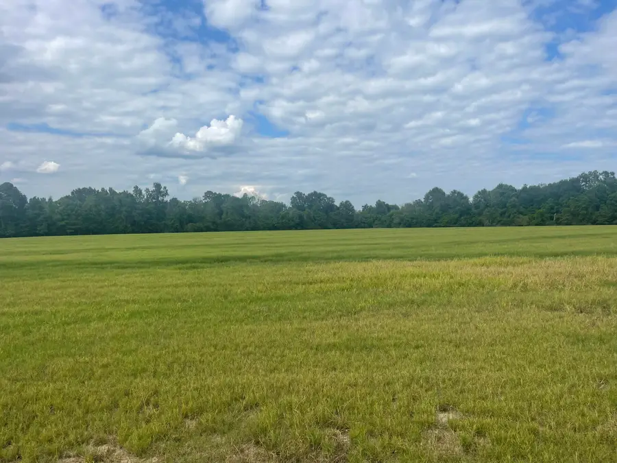 15.5 ac +- Carterville Rd., Petal, MS 39465 - #3