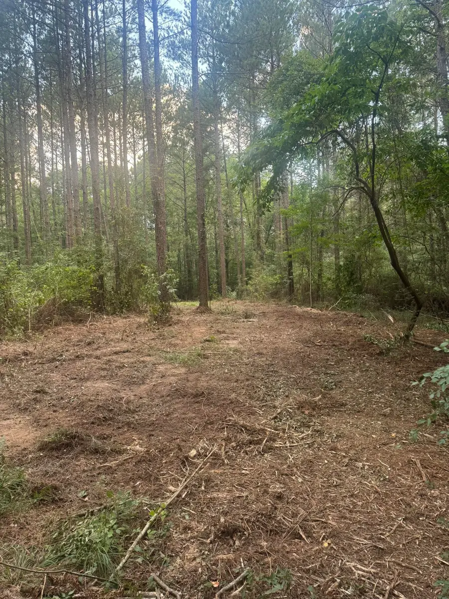 20 Mol Ac Hwy 42, Petal, MS 39465 - #2