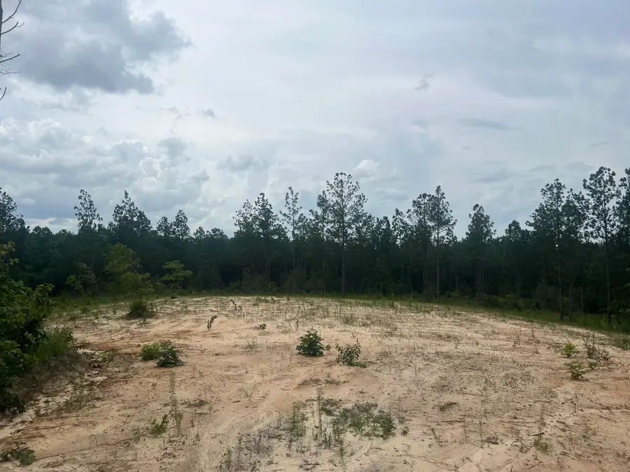 #5 Lawler Rd., Lumberton, MS 39455 - #2