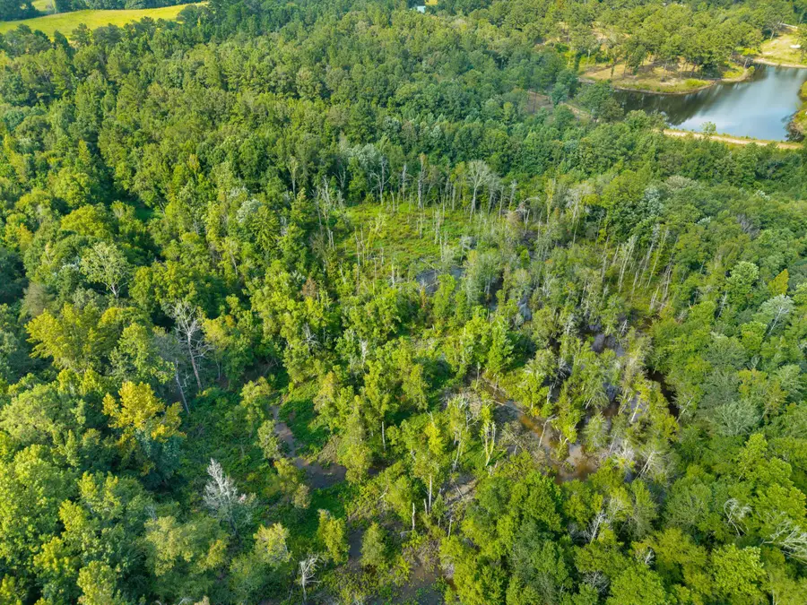 24 Ac Lynn Ray Rd., Petal, MS 39465 - #3