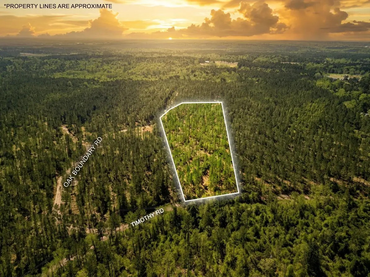 Lot 3 Timothy Rd., Ellisville, MS 39437 - #1