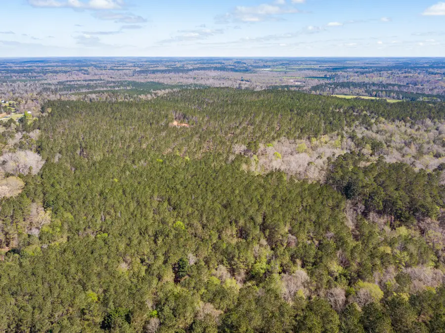 Lot 3 Timothy Rd., Ellisville, MS 39437 - #2