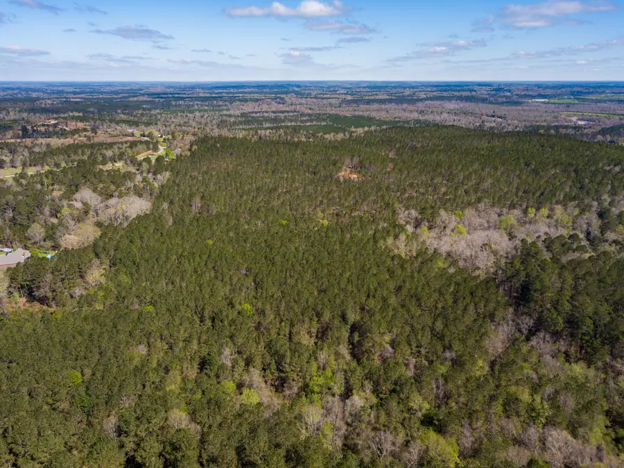Lot 3 Timothy Rd., Ellisville, MS 39437 - #3