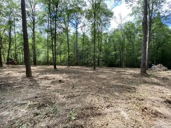 0 Cowart Rd., Lucedale, MS 39452 - #1