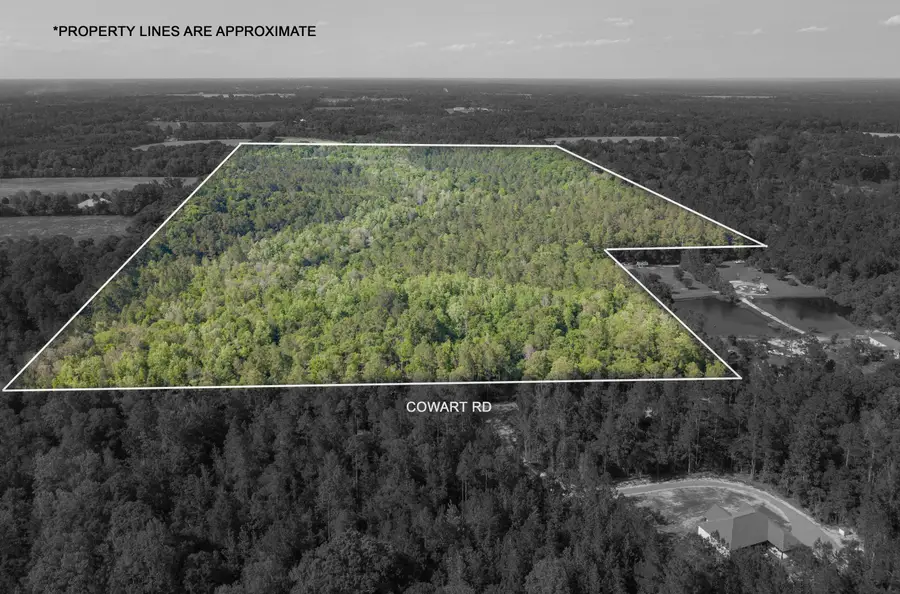 0 Cowart Rd., Lucedale, MS 39452 - #3
