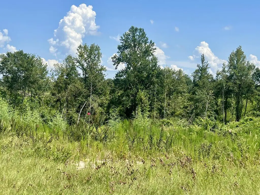 0 Co Rd 8, Vossburg, MS 39366 - #1