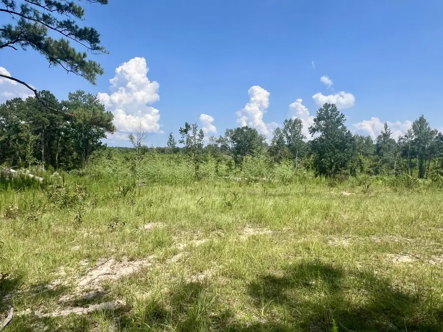 0 Co Rd 8, Vossburg, MS 39366 - #3