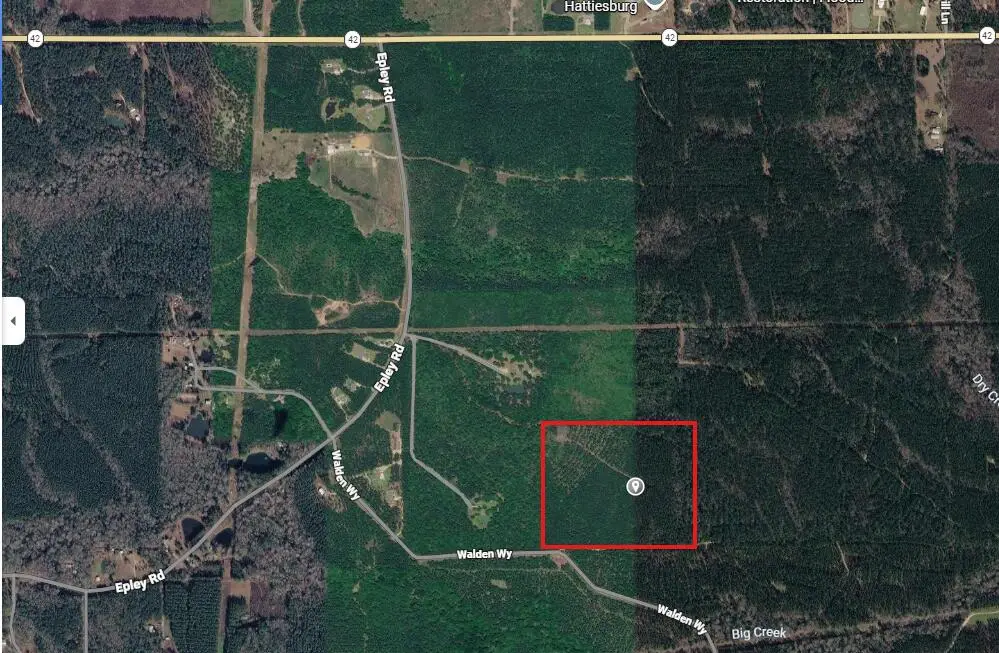 00 Epley Road, Hattiesburg, MS 39402 - #1