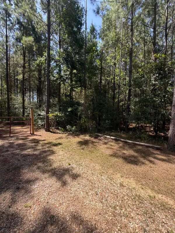 111 Progress Trail, Sumrall, MS 39482