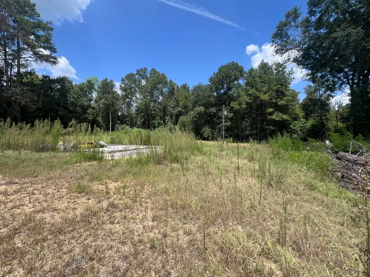 331 Goss Bunker Hill, Columbia, MS 39429 - #1