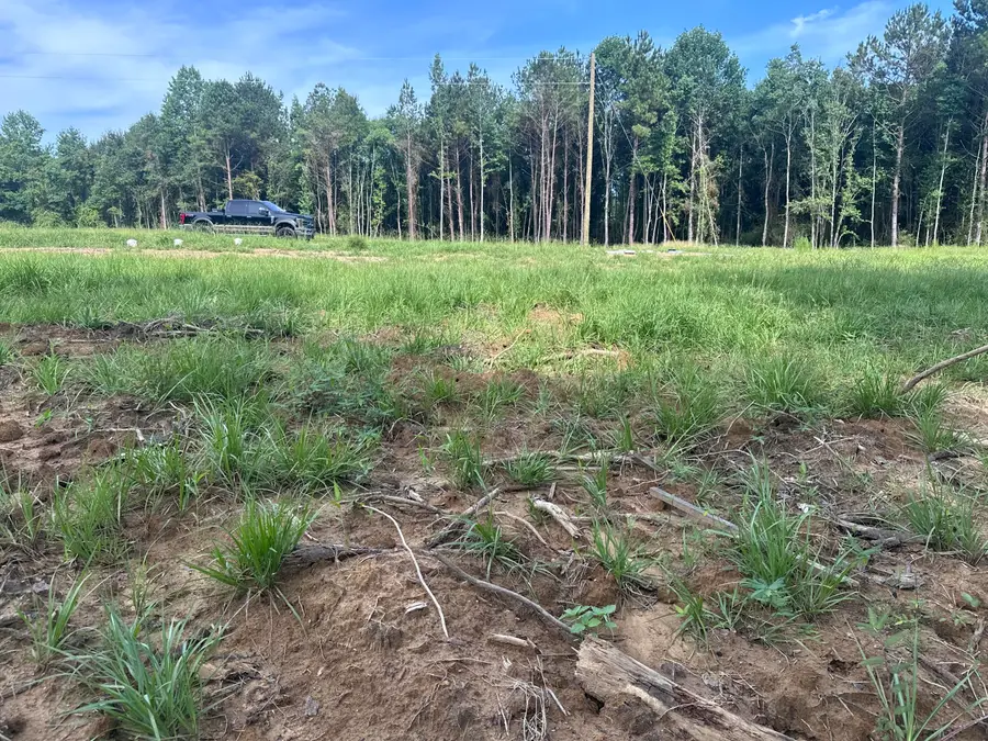 Lot 9 Lainey Ln., Hattiesburg, MS 39402 - #2