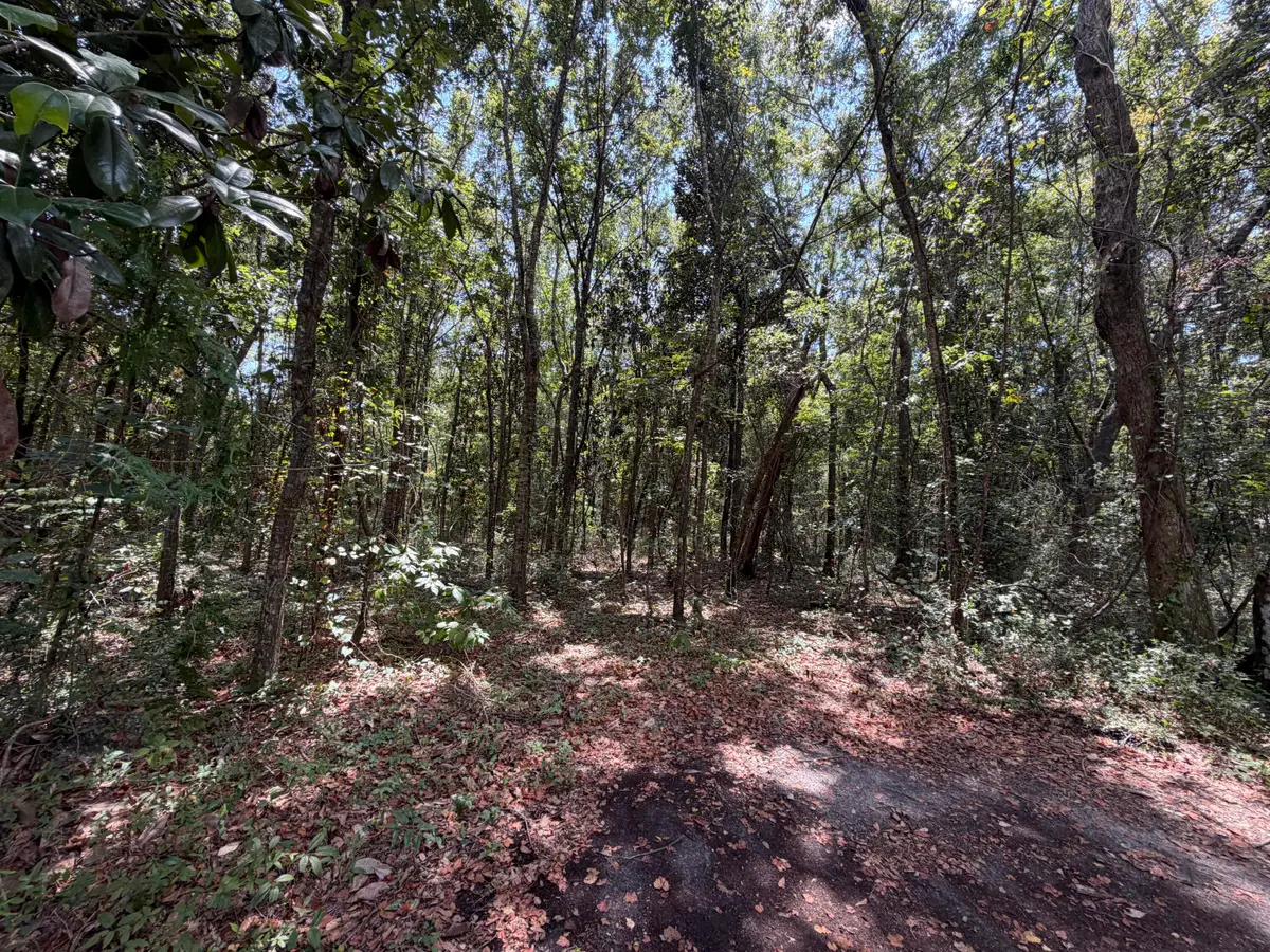 0 Brumbaugh Rd., Ocean Springs, MS 39564 - #1