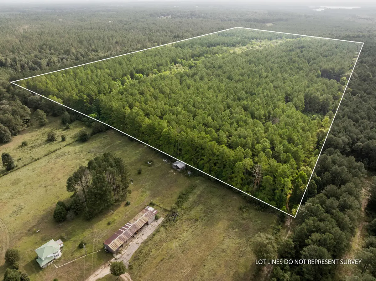 80+/-AC Arthur Lowe Rd., Lumberton, MS 39455 - #1