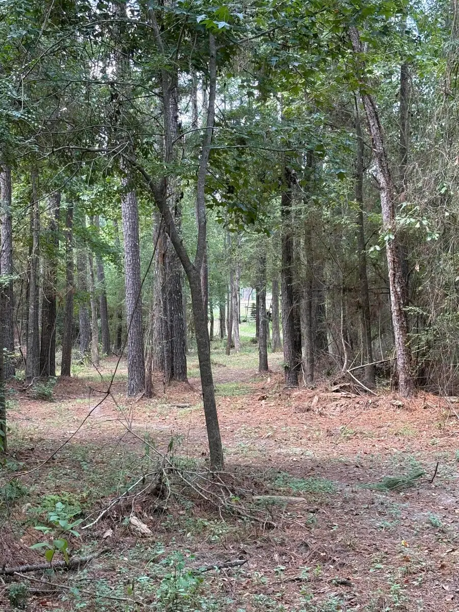 0 Reedy Creek, Laurel, MS 39443 - #3