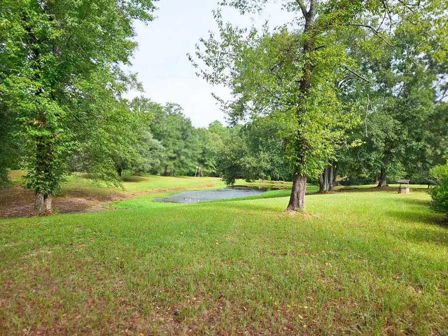 4438 N Hwy 49, Mount Olive, MS 39119 - #3