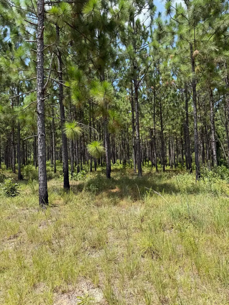 Parcel 4 Miller Farm Rd., Lumberton, MS 39455 - #2